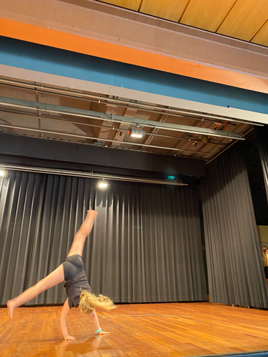BS: MusicalCamp