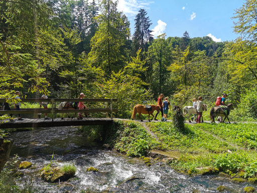 NEU: CH: Schatzsuche im Glütschbachtal mit den Ponys