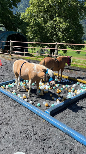 NEU: HA: Ein Tag im Ponystall