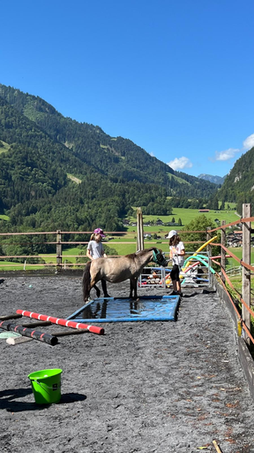 NEU: HA: Ein Tag im Ponystall