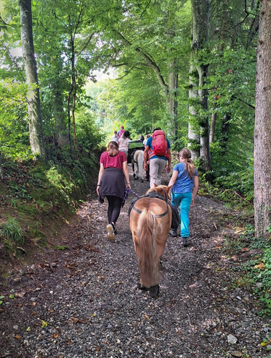 NEU: CH: Schatzsuche im Glütschbachtal mit den Ponys